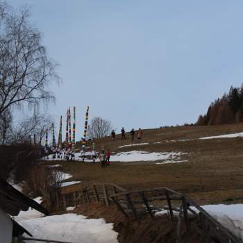 IMG_3640-min