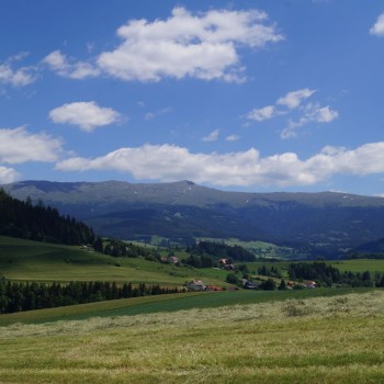 DSC06870